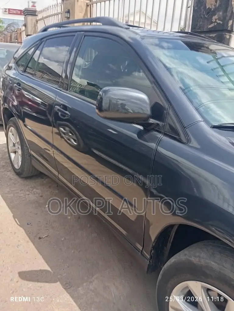 Lexus RX 2008 Gray