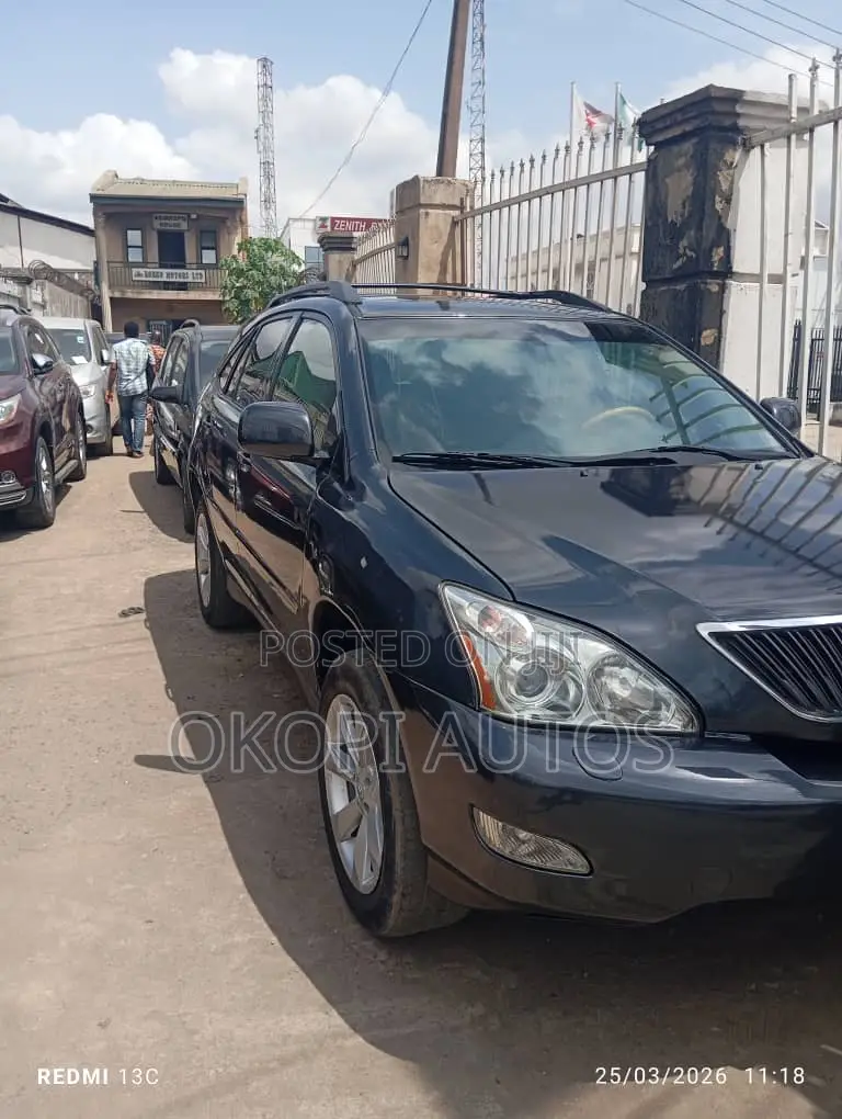 Lexus RX 2008 Gray