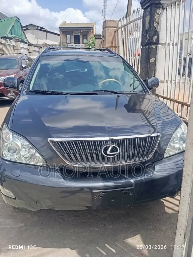 Lexus RX 2008 Gray
