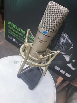 High Quality Bridsinger U87 Condenser Microphone