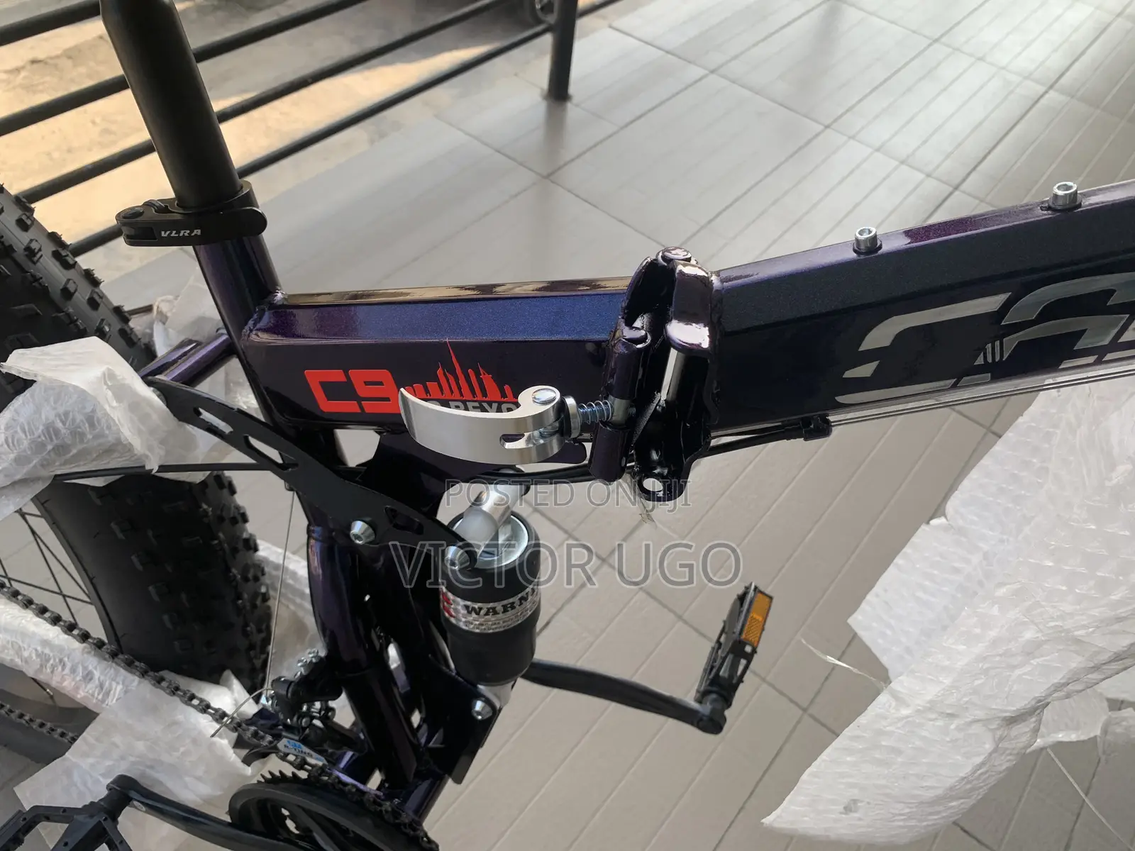 Adult Bicycle