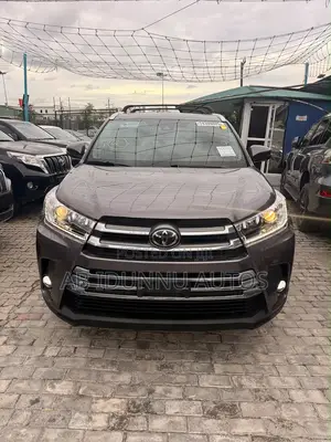 Toyota Highlander XLE 2019 Brown