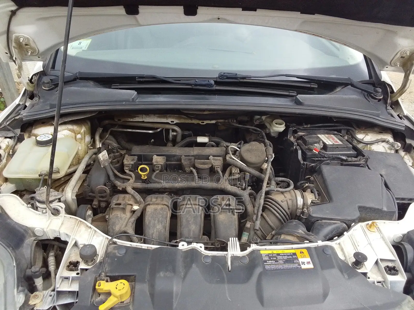 Ford Focus 2012 White