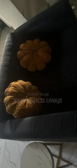 Two Seater Couch