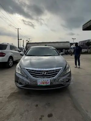 Hyundai Sonata 2010 Gray