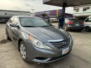 Hyundai Sonata 2010 Gray