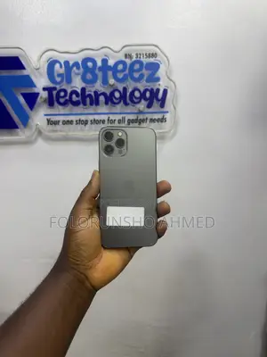 Apple iPhone 12 Pro Max 128 GB Gray