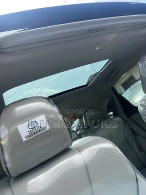 Toyota Venza 2010 Gray