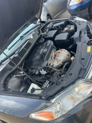 Toyota Venza 2010 Gray