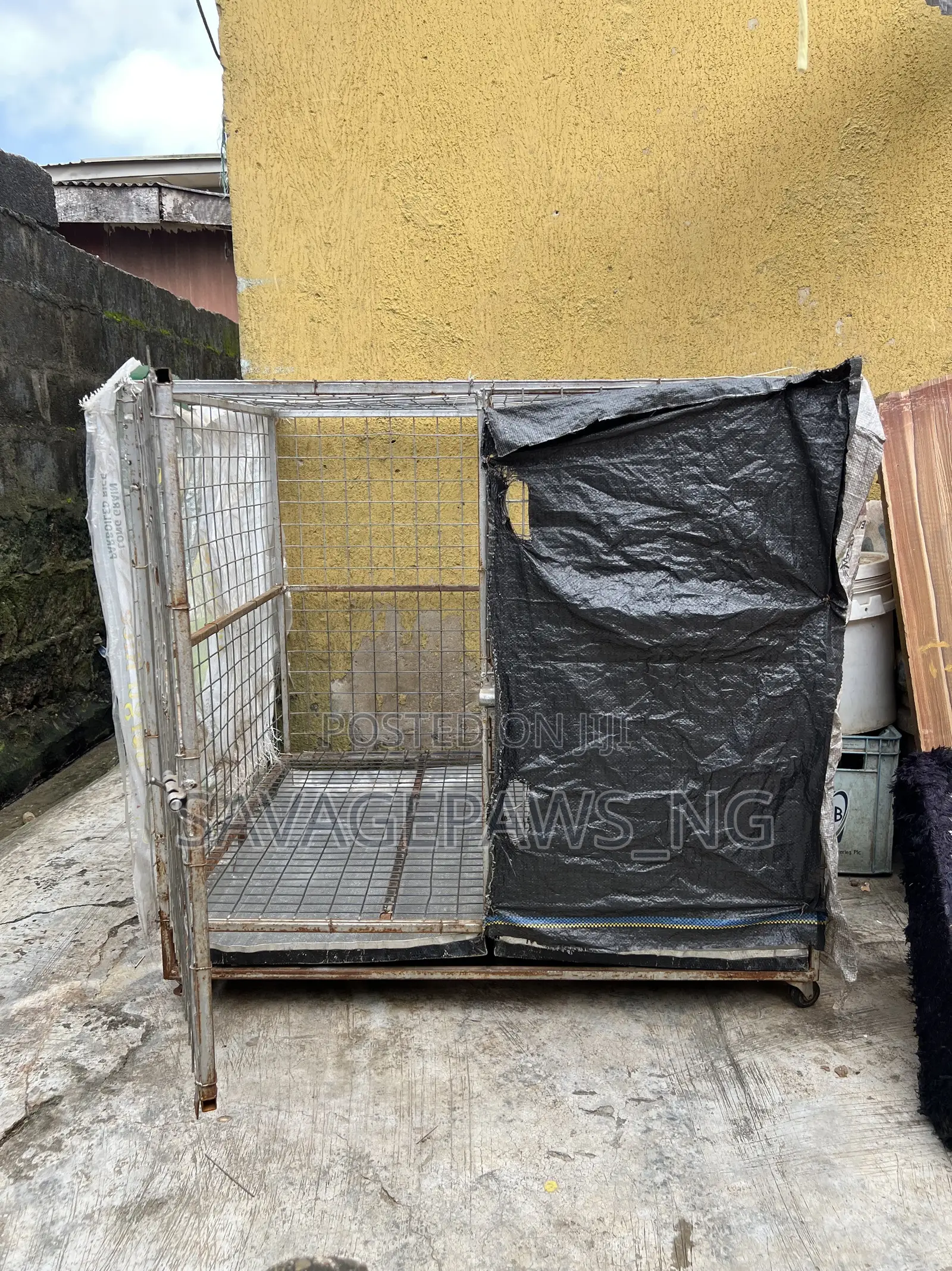 Solid Iron Dog Cage Available