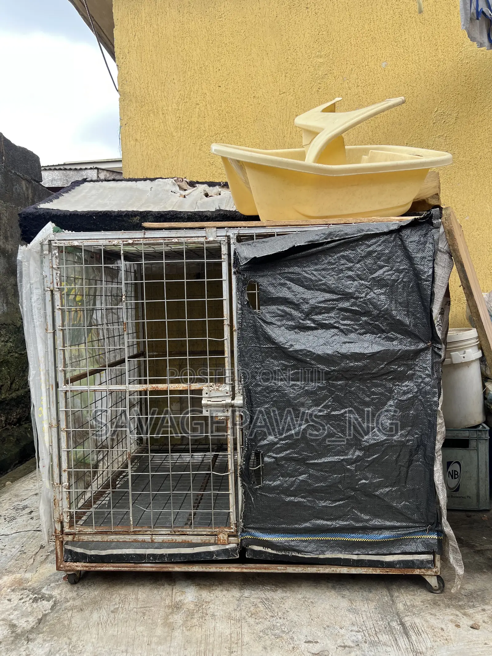 Solid Iron Dog Cage Available