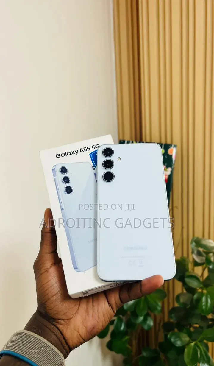 Samsung Galaxy A55 256 GB