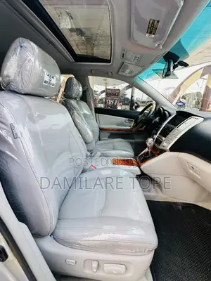 Lexus RX 2009 Silver