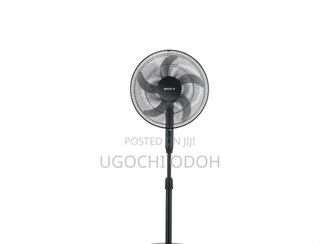 Maxi Fan Standing