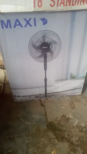 Maxi Fan Standing