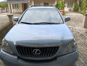 Lexus RX 2010 Blue