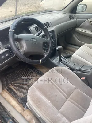 Toyota Camry 1994 Gray