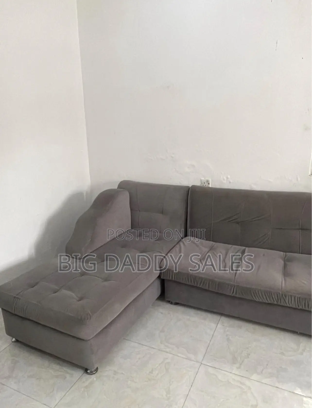 L-Shaped Couch Plus the Single Sofa