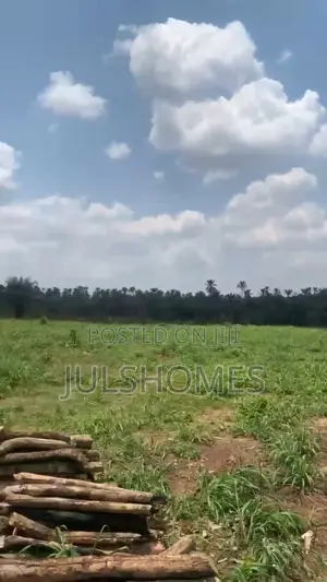 Palm Farm Land