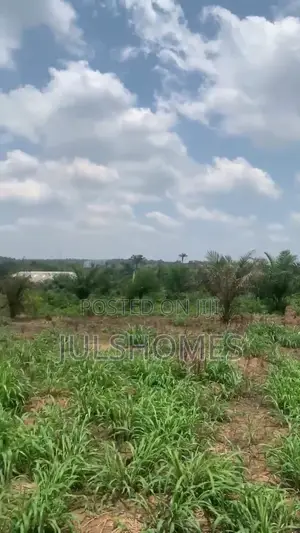 Palm Farm Land