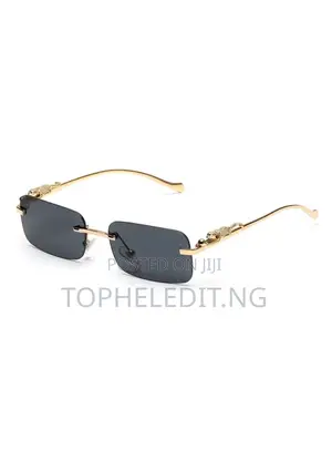 Luxury Rimless Dragon Sunglasses