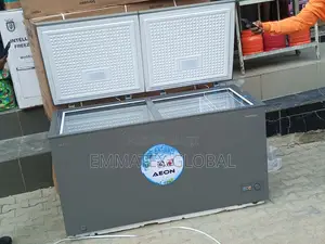 Aeon Double Door Freezer