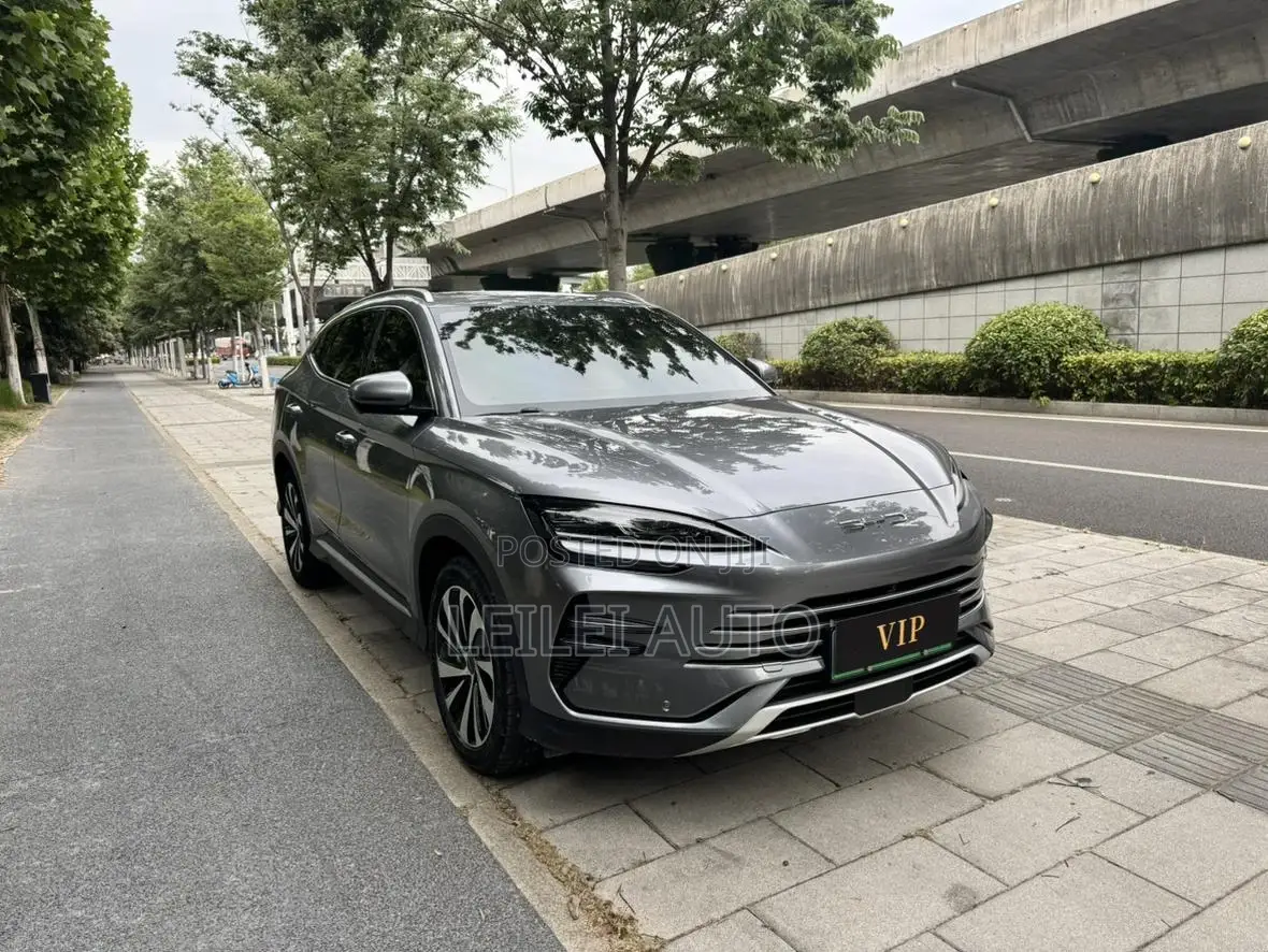 BYD Song Plus DM-i 2025 Gray