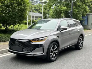 BYD Tang DM-i 2025 Gray