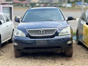 Lexus RX 330 2004 Gray