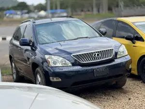 Lexus RX 330 2004 Gray