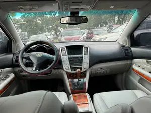 Lexus RX 330 2004 Gray
