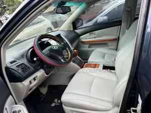 Lexus RX 330 2004 Gray