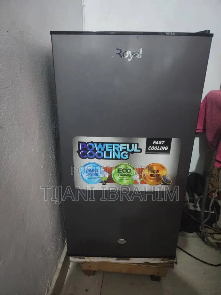 Royal Original Standing Fridge With Low Voltage