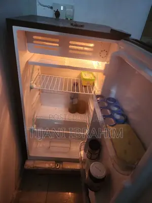 Royal Original Standing Fridge With Low Voltage