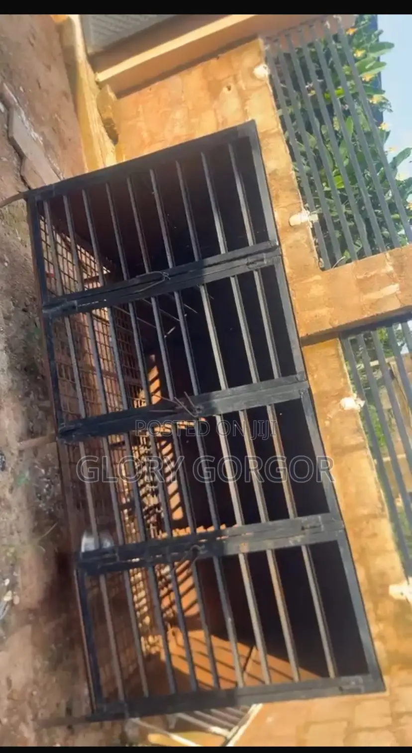 Solid Dog Cage Available in Benin