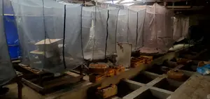 Catfish, Poultry,Black Soldier Fly Products ( Eggs, Larvae, Pupae Etc)