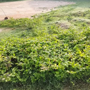 2679 SQM for Sale at Lugbe