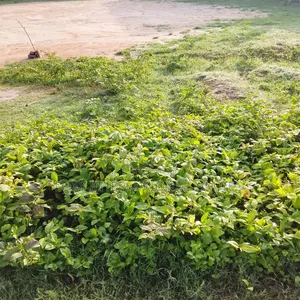 2679 SQM for Sale at Lugbe