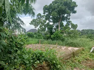 Estate Land for Sale at Onu Ugo Estate Okpulor Umuobo
