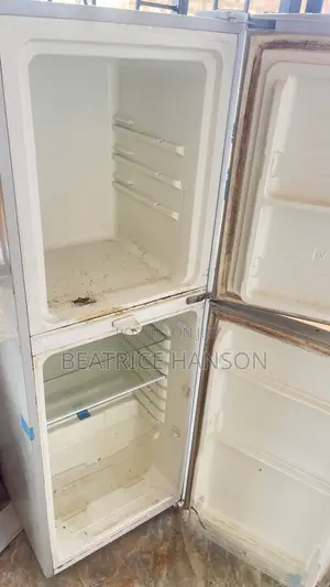 Thermocool Double Door Freezer