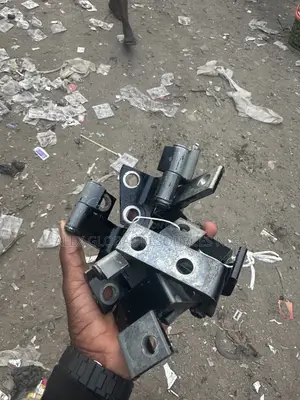 Door Hinges Rx350 2018