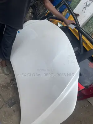 Bonnet Rx350 2018 Available Now From Alex Global
