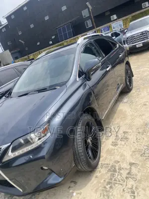 Lexus RX 350 2010 Gray