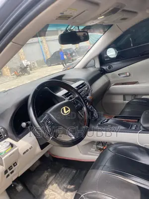 Lexus RX 350 2010 Gray