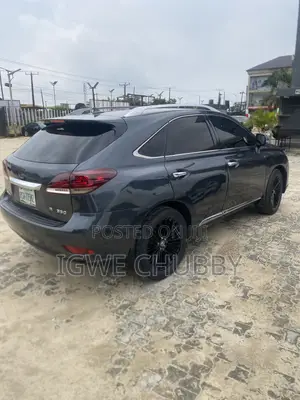 Lexus RX 350 2010 Gray
