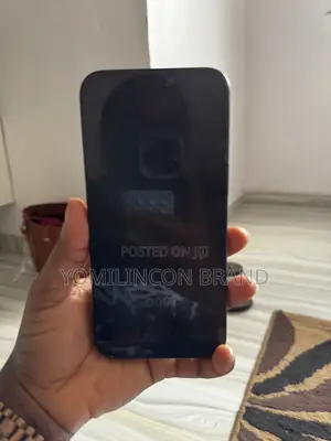 Apple iPhone 15 Pro Max 256 GB Gray