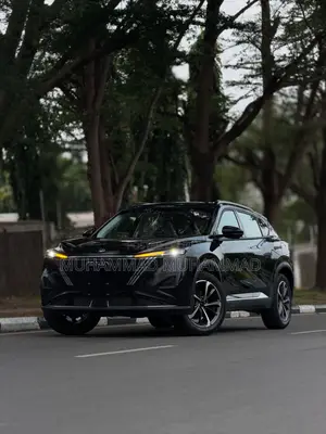 New Dongfeng Captain 2025 Black