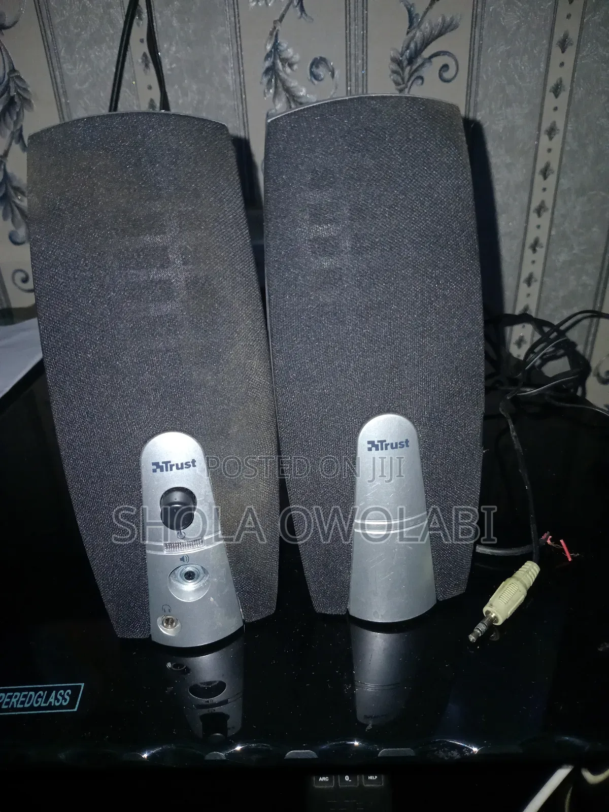 Desktop Speaker
