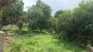 1000 SQM Plot of Land for Sale in Karu, Tarred Road