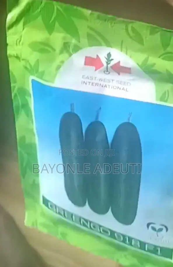 Greengo F1 Cucumber
